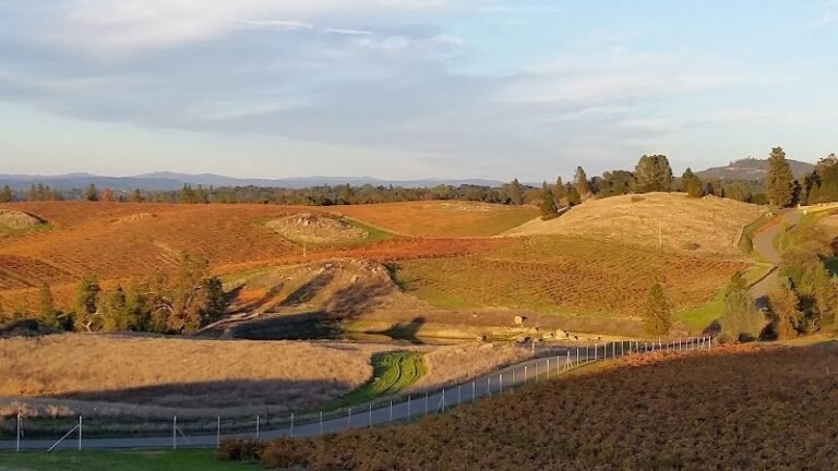 47725 ebea9370b3dc 768x432