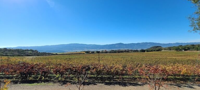 47762 4ff2327bdc8b 768x346