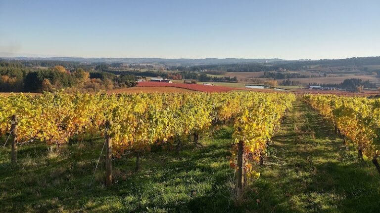 47780 2f31e3c72a7e 768x432