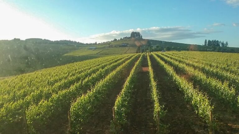 47800 5f59e2f0426c 768x432