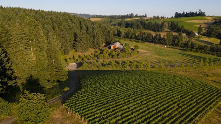 47814 fe8c99f725b9 768x432