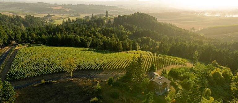 47842 f009cea4c416 768x334