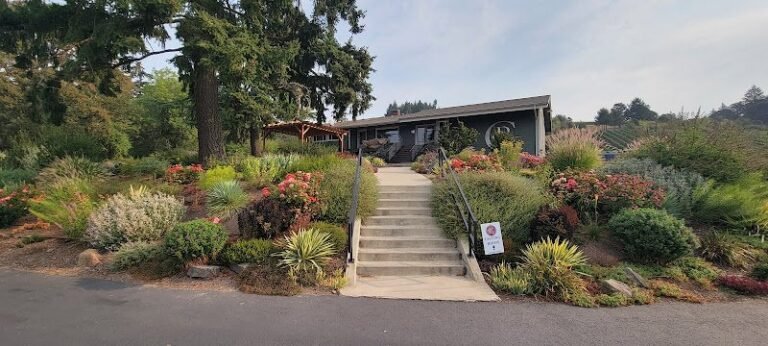 47883 7cd82a01eed5 768x346