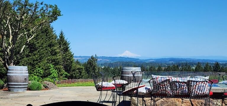 47970 638e051903b3 768x359