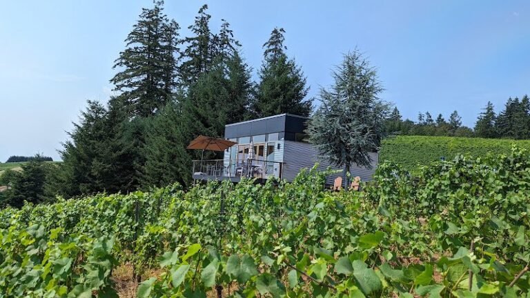 47983 b10ccb8acb02 768x432