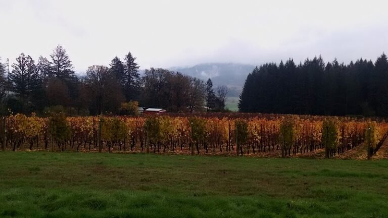 48086 c77eab812823 768x432