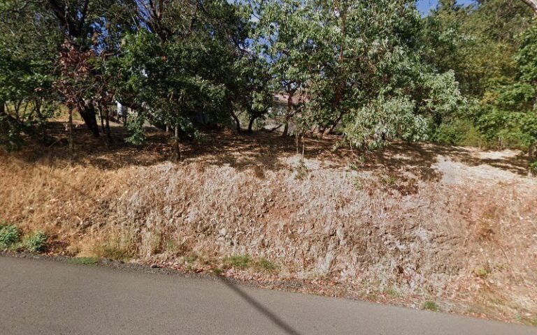 48125 5c565c7fce81 768x480