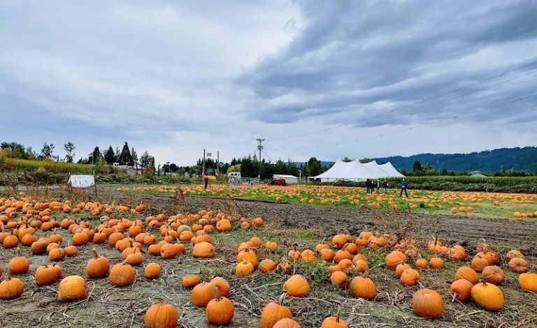 48139 3e51946d6083 768x470