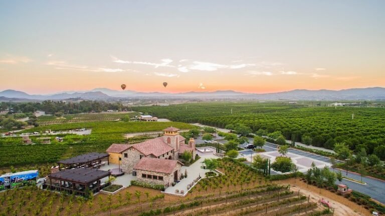 48167 7b690e3af4c8 768x431