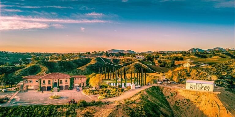 48194 210b518cae8b 768x384