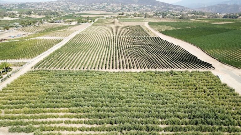 48222 73fd4fd466a4 768x432