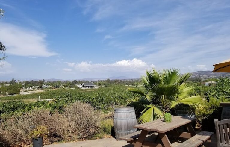 48246 fe72d25d7cc8 768x491