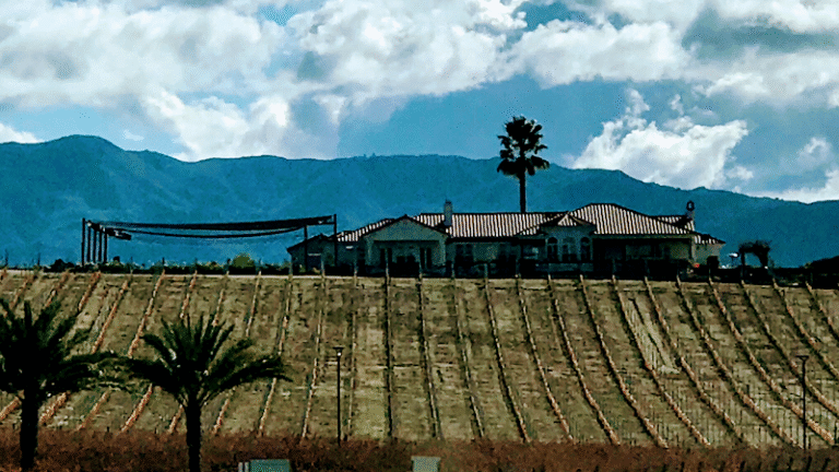 48256 65c790869f5a 768x432