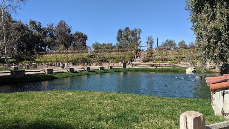 48271 be46b4914213 768x432