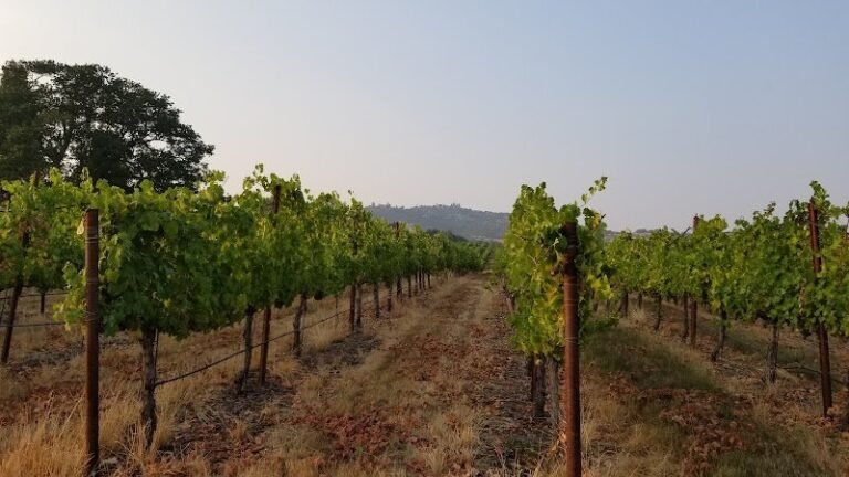 48343 64543f279161 768x432