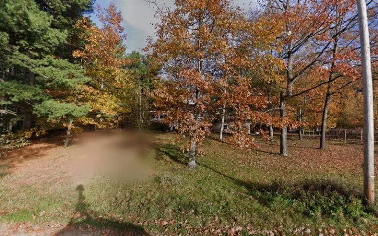 48366 a80fc12ae33a 768x480