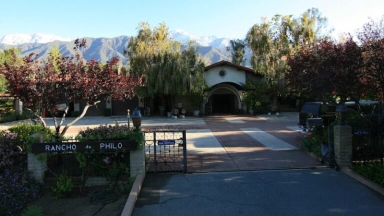 48401 58138db3779c 768x432