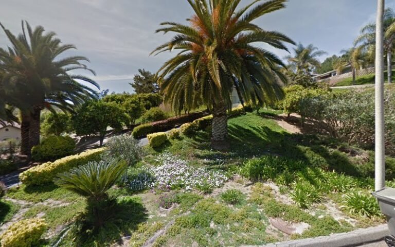 48436 68c1ee57b568 768x480