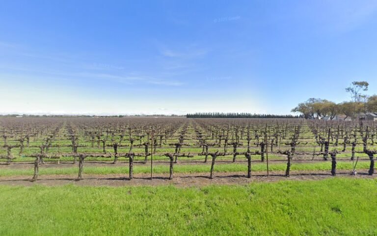 48521 e95b64318dbd 768x480