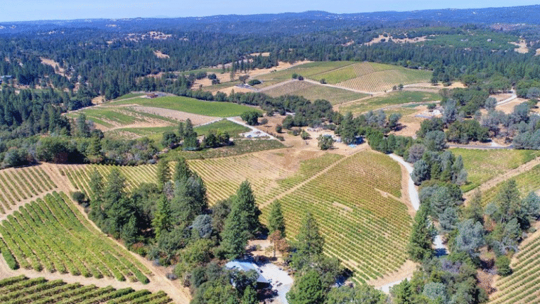 48534 ae19c20bbdf6 768x432