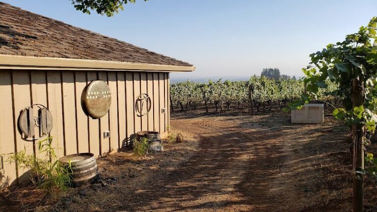 48572 cba5a11c1104 768x432