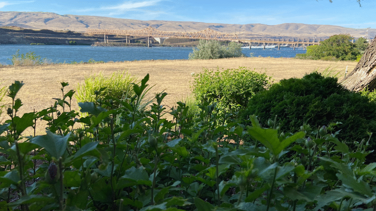 48601 a9afa14b7dfe 768x432