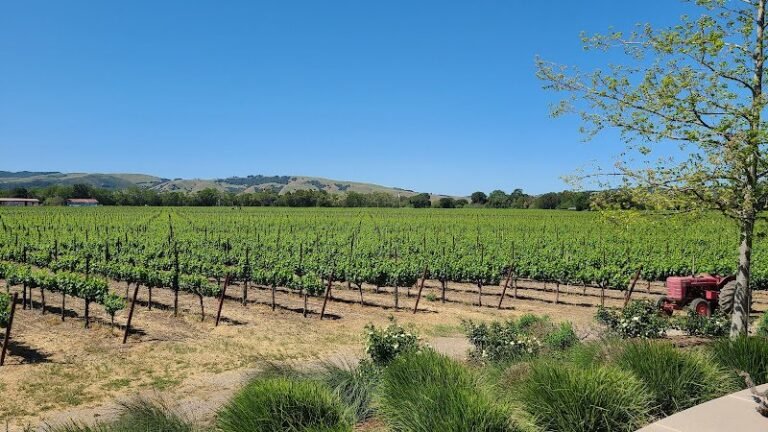 39919 d4887b677099 768x432