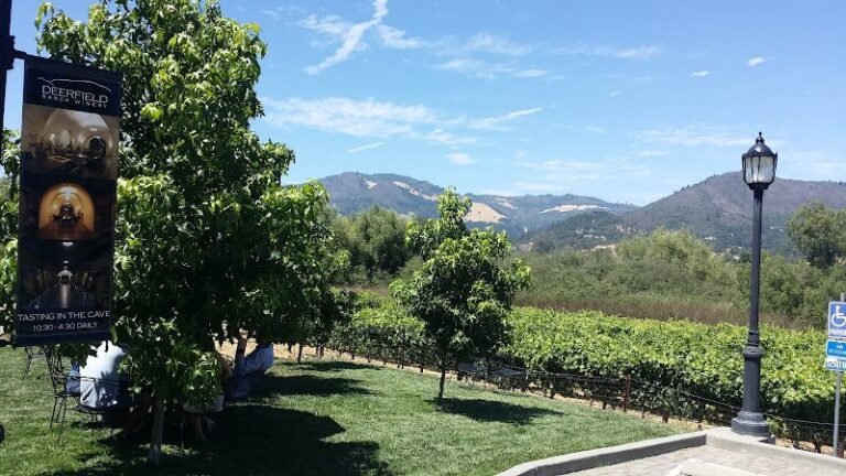 39942 c7123d4e3352 768x432