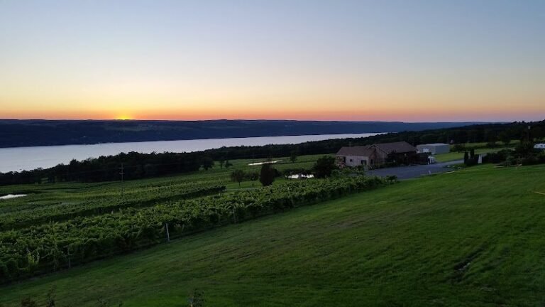 39960 a19340ce528e 768x432