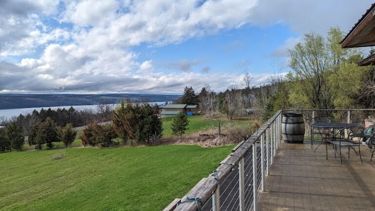 39968 1078e719267b 768x432