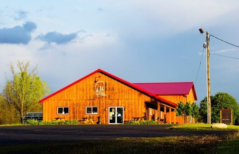 40000 b884ef9ad772 768x495