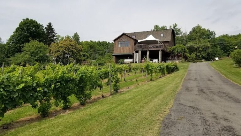 40030 a763249e696b 768x432