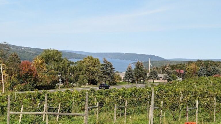 40032 ba0c53c2b24c 768x432