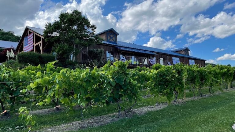 40034 357a6ca3e291 768x432