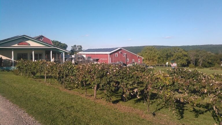 40056 0452373b7f61 768x432