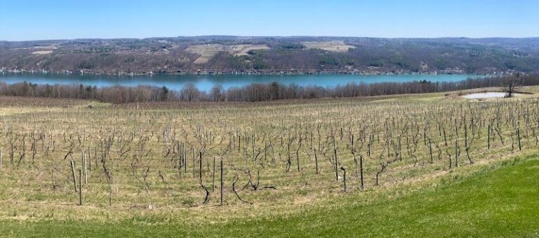 40090 f2709cf0cc7e 768x340