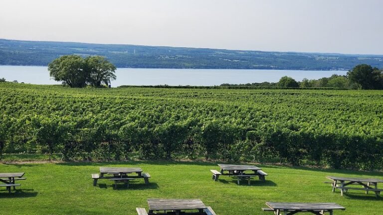 40104 1e43e7f7e6da 768x432