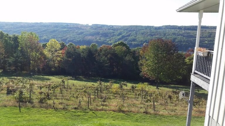 40145 0aca04d7613f 768x432