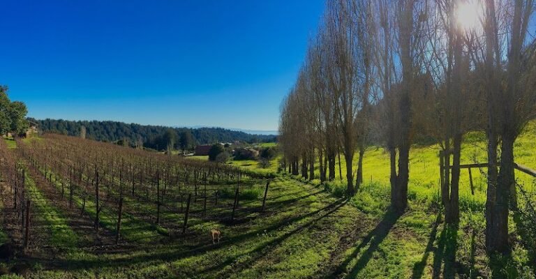 41015 48888115b28b 768x400