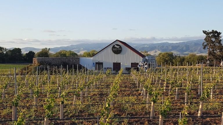 41055 6e71e8eeda89 768x432