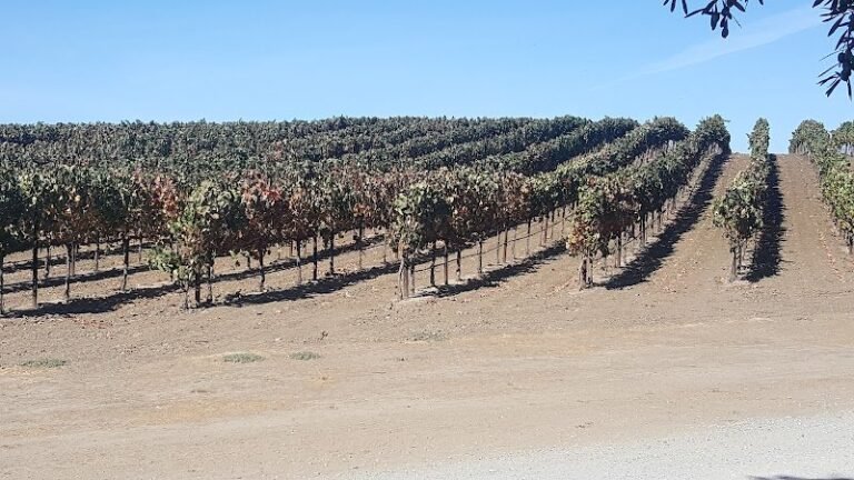 41059 d33898a3a802 768x432