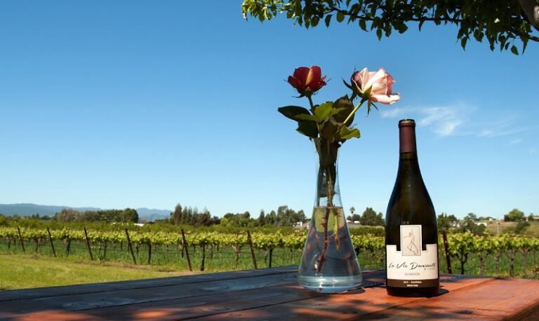 41065 03c4f34a11f5 768x458