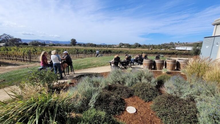 41069 01b5f57c804e 768x433