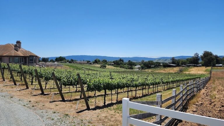 41104 89c894e57457 768x432