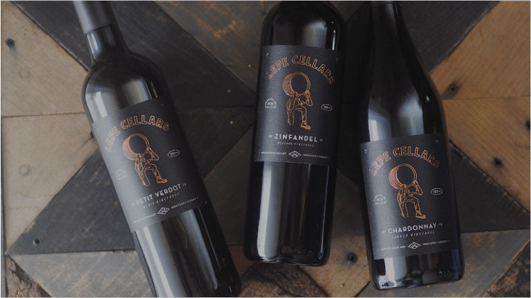 41123 ec39e04e6795 768x432