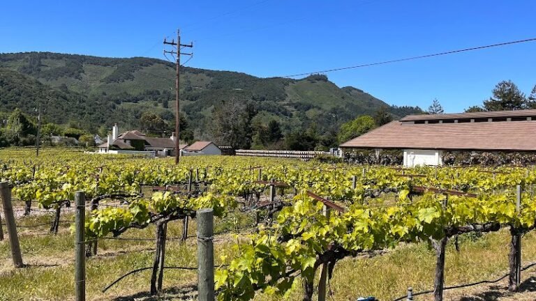 41141 bf7380a502bb 768x432