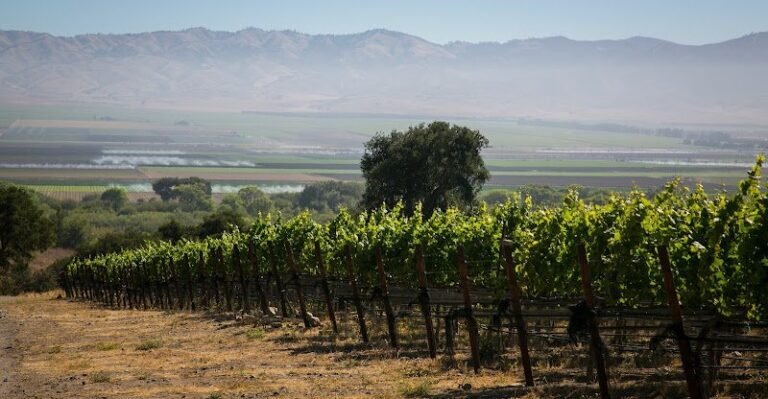 41157 00566324108f 768x399