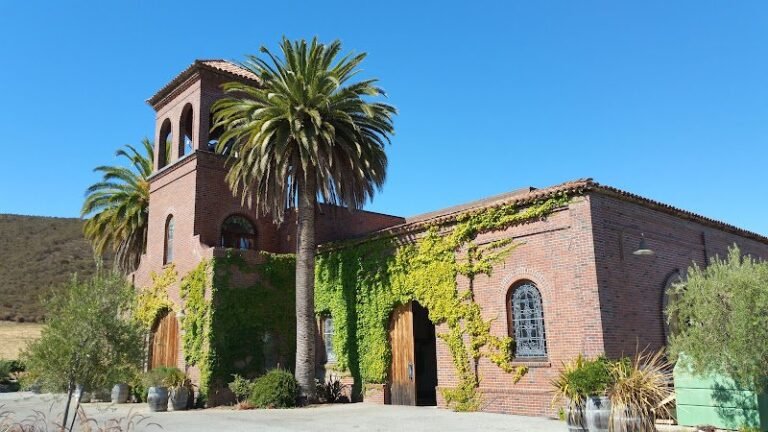 41181 03a9aacb1eaf 768x432