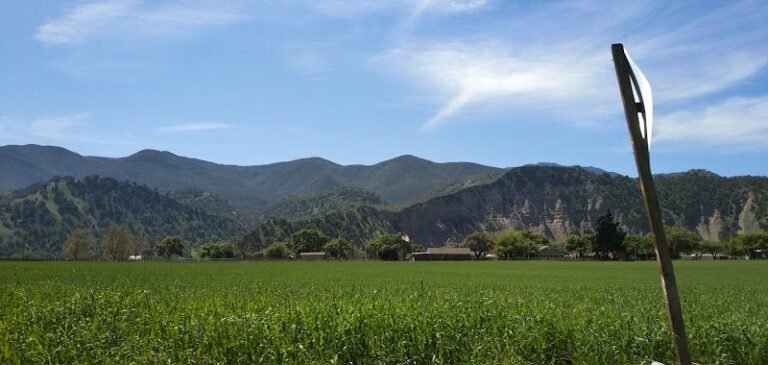 41187 173e9b5c2a6a 768x365