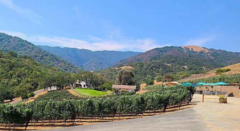 41217 e4dd8a9694ea 768x419